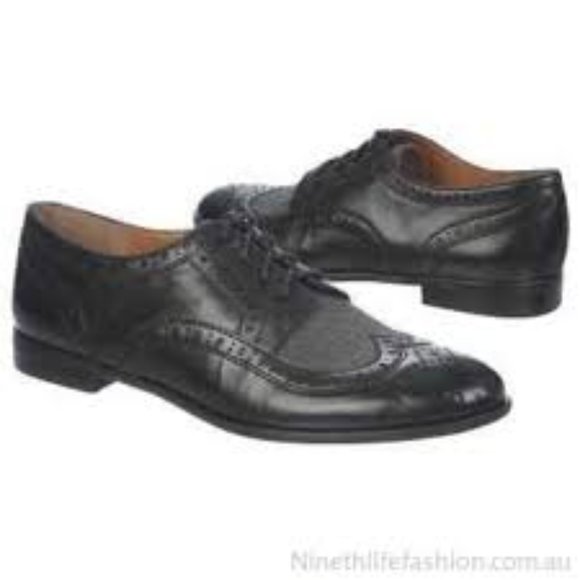 franco sarto century wingtip oxford